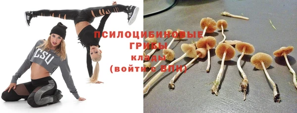 прущие грибы Беломорск