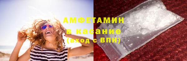 прущие грибы Беломорск