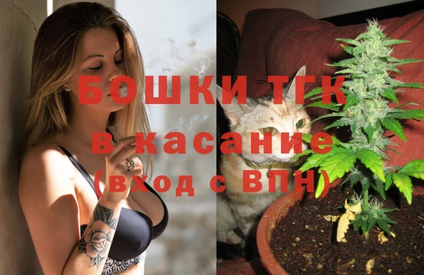 прущие грибы Беломорск