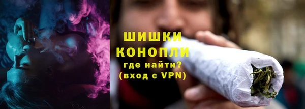 прущие грибы Беломорск