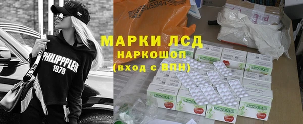 прущие грибы Беломорск